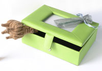 Everything Box - Light Green